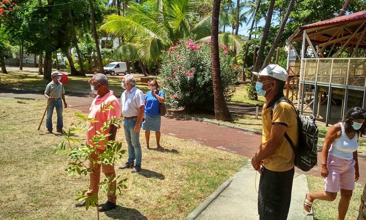 Journée mondiale BPCO 2020 - Respirun ile Réunion